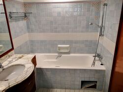 Cavenagh Lodge (D9), Apartment #408405281